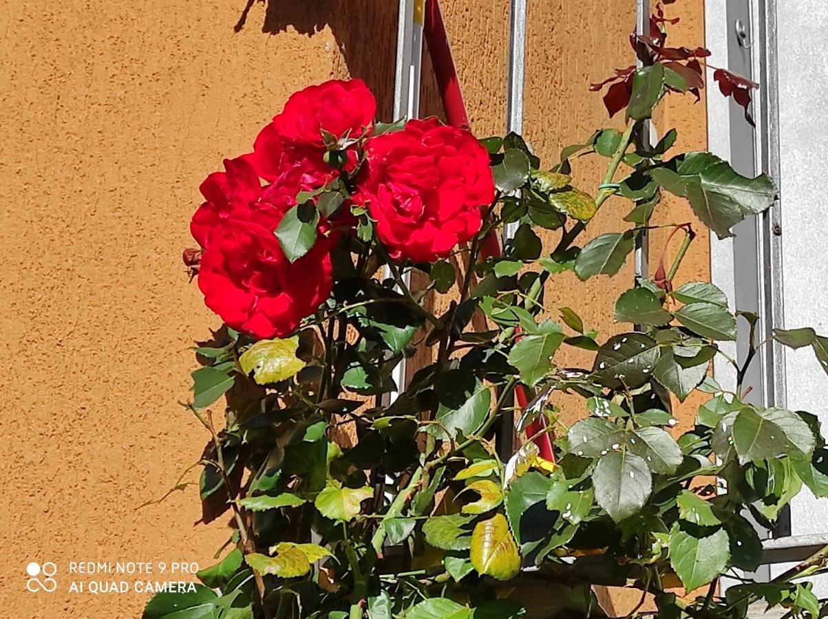 Beb Da Gaia E Giulio Bed and Breakfast Reno Di Leggiuno Εξωτερικό φωτογραφία
